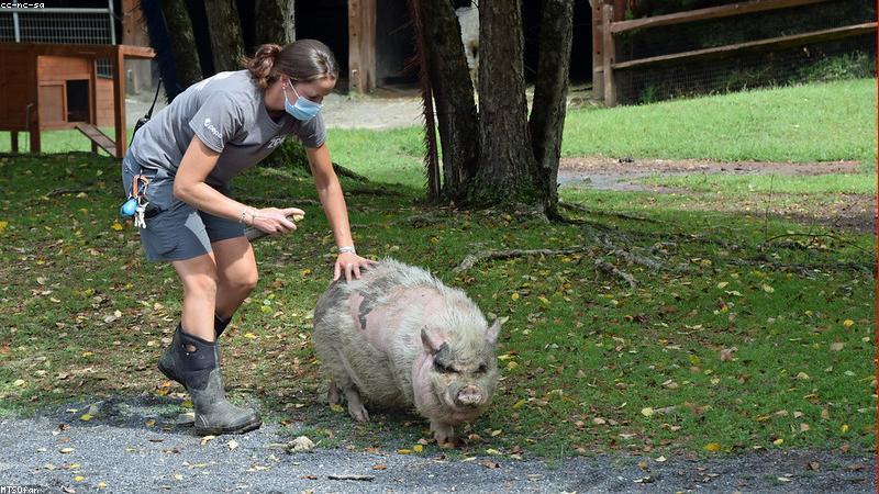 甘油解析：经典保湿剂的科学