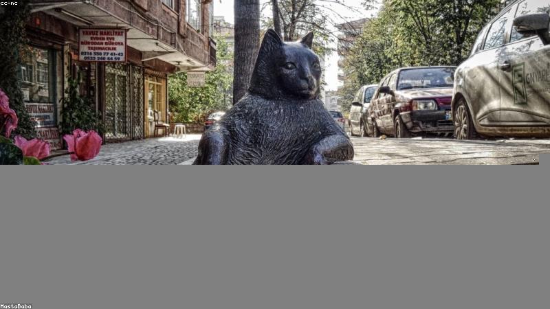 科学护肤指南：从清洁到防晒的5大黄金技巧