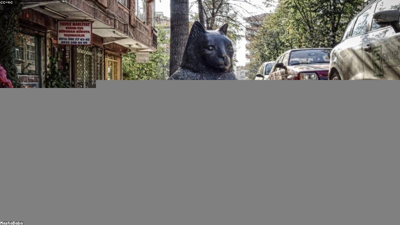 护肤成分大揭秘:科学分类助你精准护肤