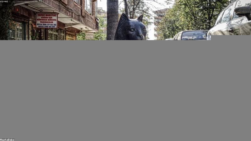 抗衰老全攻略：从科学原理到日常护理的全方位指南