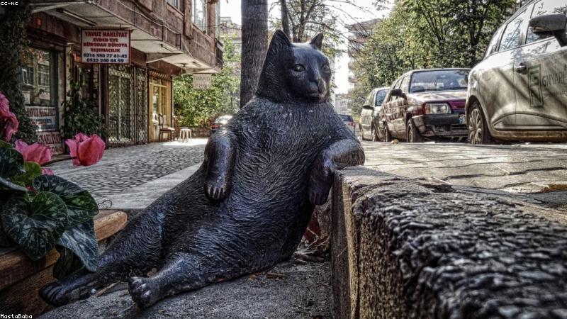 护肤成分大揭秘：科学分类助你精准护肤